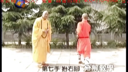 武术教学视频罗汉十八手