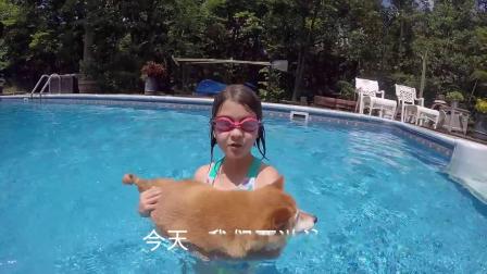 小萝莉带柴犬游泳