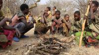非洲哈扎部落: 1小时就能解决食物, 为什么你们要种粮食?