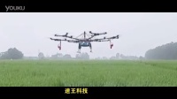 植保无人机，多旋翼电动植保无人飞机农作物打药工作过程展示