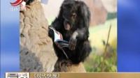 《现代快报》 这家动物园的黑猩猩爱读书 晨光新视界 170101