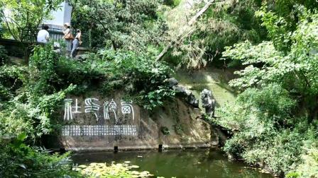 杭州西湖旅游景点推荐视频#认真一夏#高中生暑假旅游学日记