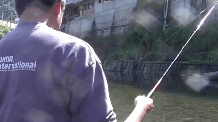 钓鱼: 家门口的小河, 水清鱼又多, 一天能钓上好几斤野生河鱼