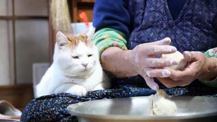 老奶奶正在做包子, 猫咪一脸幸福地趴在旁边