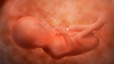 孕期有这三种胎动, 说明胎儿很调皮, 出生后肯定是个聪明宝宝