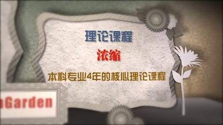 宁波儒森对外汉语国际注册汉语教师资格证培训网上授课举例视频