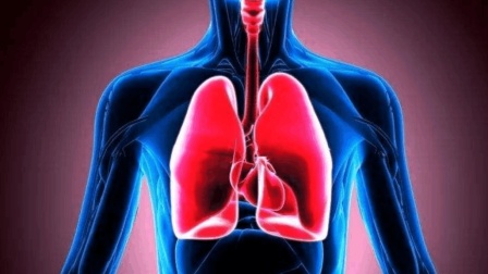 养肺等于养命, 养肺的3个妙招, 不花1分钱让肺多健康20年