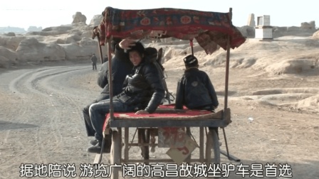 日本明星坐着驴车, 被中国小朋友带着游览高昌古城, 满满的历史感!