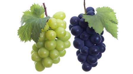 葡萄营养价值高, 但吃完葡萄后, 不要同时吃这几种食物