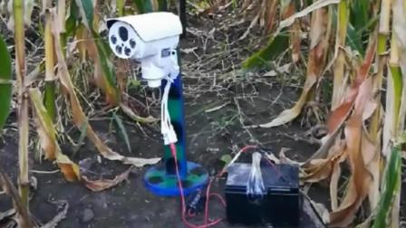 玉米地里的监控摄像头, 防止偷玉米连接手机, 千里掌控