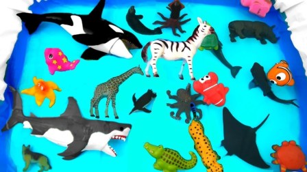 学习动物园里的动物和蓝色水域里的海洋野生动物为孩子们学习颜色