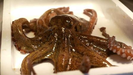 日本海鲜- 变色的乌贼和超大章鱼, 看大厨如何做成高级料理
