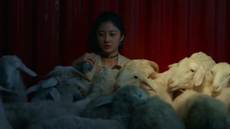求求你爱上我：台球少女搭搭车前往北京寻梦，宁愿和一群羊挤在一起，佩服！