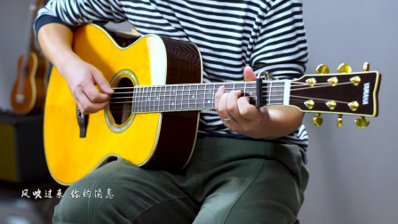 《当你老了》吉他弹唱教学——小磊吉他教室出品