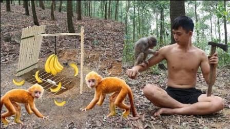 荒野求生：农村小伙在森林看到猴子，用制作的工具抓它