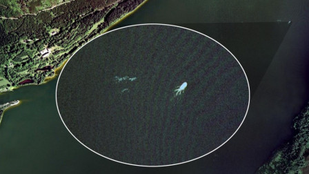 喀纳斯湖发现4米长不明生物，水怪真相终被揭开，让人不敢相信！