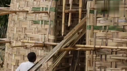 谁说非洲人懒，看他们用竹子盖出房子，可以说是大工程了