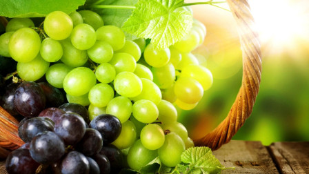 晋惠三农：本期给大家讲一下葡萄的种植方法，以及营养价值