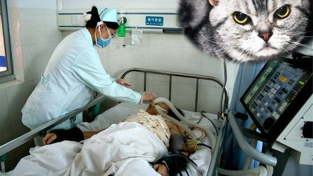 奇人！一男子睡觉时能发出猫叫的声音，医生：不可思议！