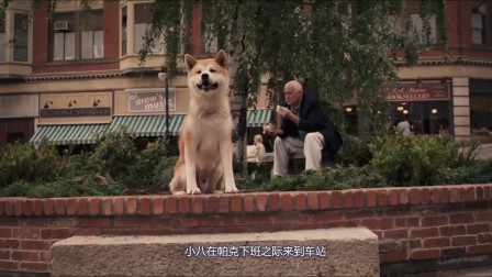 《忠犬八公的故事》让人潸然泪下的一部电影