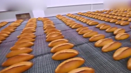 这样的面包工厂你见过吗？工人坐在移动座子上划开面包！