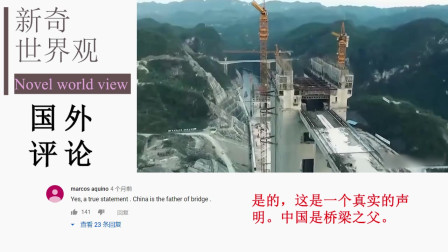 中国桥梁建设闻名世界！老外看完评论：难以置信的工程