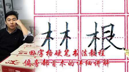 中国书法家协会高老师硬笔书法田字格教程，偏旁部首木的详细讲解