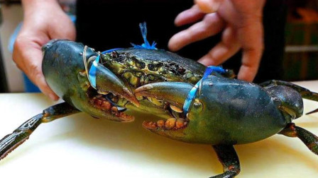 日本大厨处理32万天价螃蟹，切螃蟹就像切豆腐，这刀法得练多少年