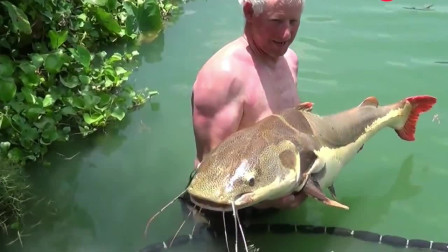 野外大叔在河里垂钓，捉到一条几十磅的亚马逊红尾鲶鱼，真的厉害