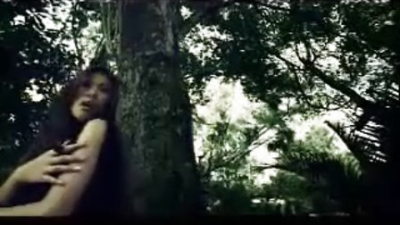泰国08年12月31日魔幻动作片《丛林深处》主题《敞开心扉》
