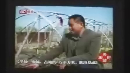长春电视台综合频道对耐寒月季报导