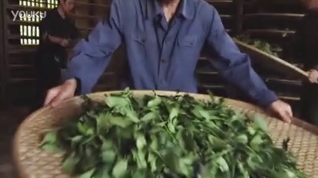 《茶 —— 一片树叶的故事》戛纳版英文预告片