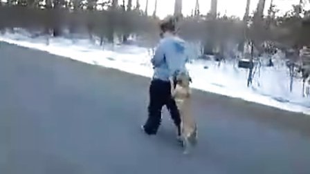 【高清优酷搞笑】见过两条腿走路的狗狗么？