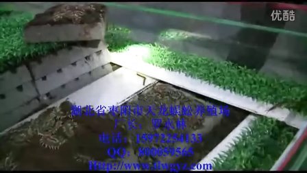 湖北枣阳天龙蜈蚣养殖厂（蜈蚣养殖视频）