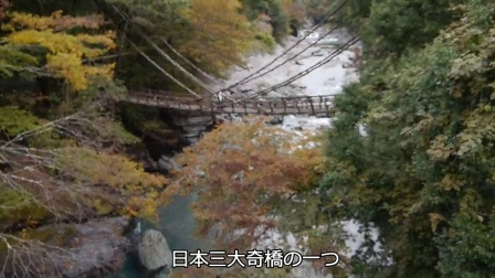 日本四国旅行201411　第11部　祖谷の蔓橋