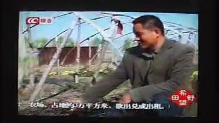 09年长春电视台综合频道对耐寒月季报导