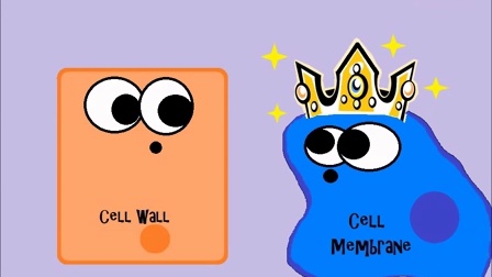 动画演示-原核生物和真核细胞的差别
