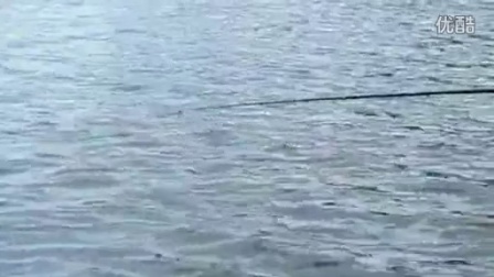 海竿有几种钓法_海竿钓法视频_海竿几种钓法