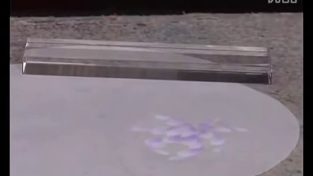 安田国画技法教学视频系列—紫色水墨牡丹团扇画法（上