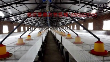 全封闭肉鸭养殖场养鸭技术养鸭设备