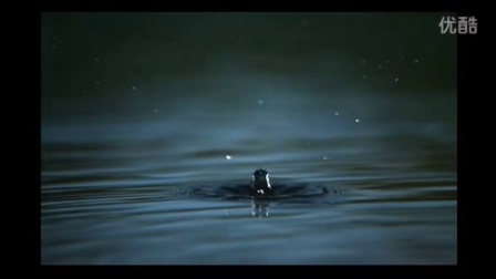 滴水荡漾23 水滴入水面溅起水珠荡起水波纹高清动态视频