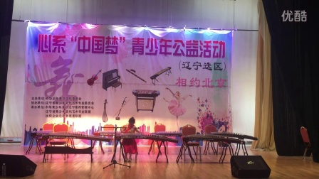 心系“中国梦”青少年公益活动 辽宁选区 相约北京
