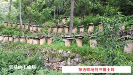 山西运城绛县回马岭土蜂蜜宣传片
