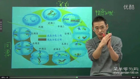 第3讲林祖荣专题减数分裂与受精作用