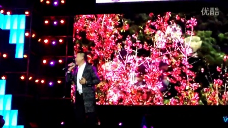 我的视频   延安心连心演唱会   刘建东   《梦中的兰花花》手机现场拍摄，画质有限20161113201308