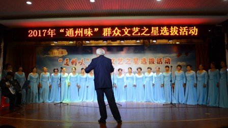 北京市通州区文艺选拔赛（6）表演唱《春风化雨 暖人心》2017-10-26