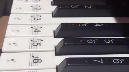 钢琴电电子琴键盘贴纸透明贴简谱88键61键54键自学考级自学五线谱00001