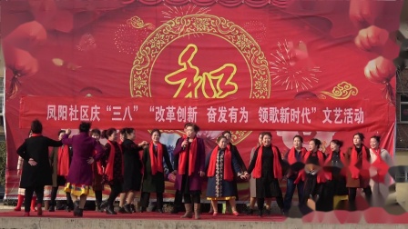 小合唱《我们都是好朋友》 凤阳社区舞蹈队