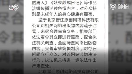 晋江文学城回应整改：晋江停止更新原创分站15天