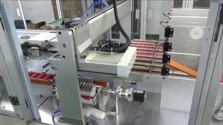 深圳市瑞鼎电子有限公司 锂电池自动生产线展示视频